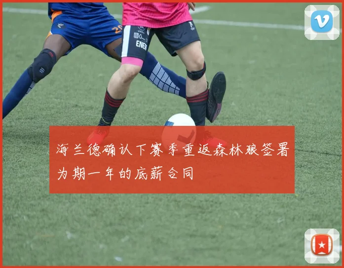 海兰德确认下赛季重返森林狼签署为期一年的底薪合同